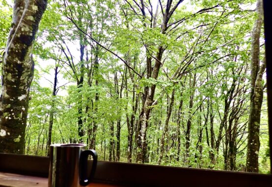 窓辺に置かれたマグカップと、雨上がりのような森の景色